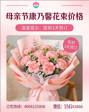 东莞寮步镇花店母亲节康乃馨花束