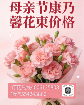 东莞寮步镇花店母亲节康乃馨花束
